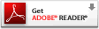 adobe_reader_dl 1